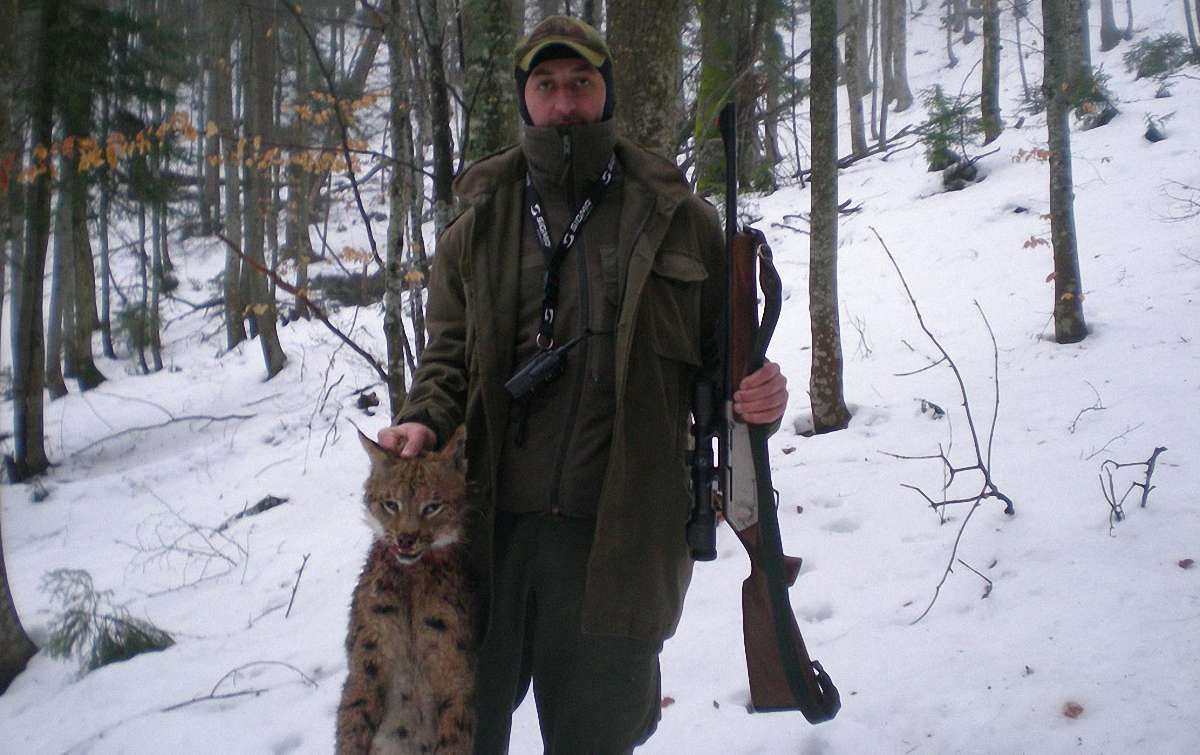 Двоє закарпатських лісників вполювали рідкісну рись