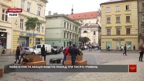 На площі Катедральній замінили дерево, яке зламали хулігани