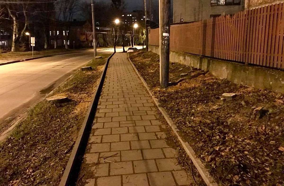 Задля велодоріжки на  вул. Зеленій у Львові зрізали півсотні дерев