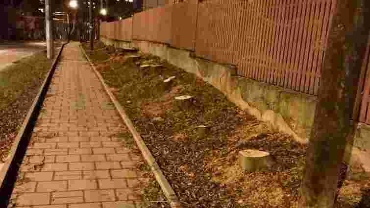 На місці зрізаних дерев на вул. Зеленій у Львові облаштують автомобільну парковку