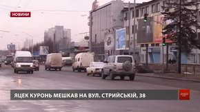 На честь Яцека Куроня у Львові можуть перейменувати вулицю Стрийську