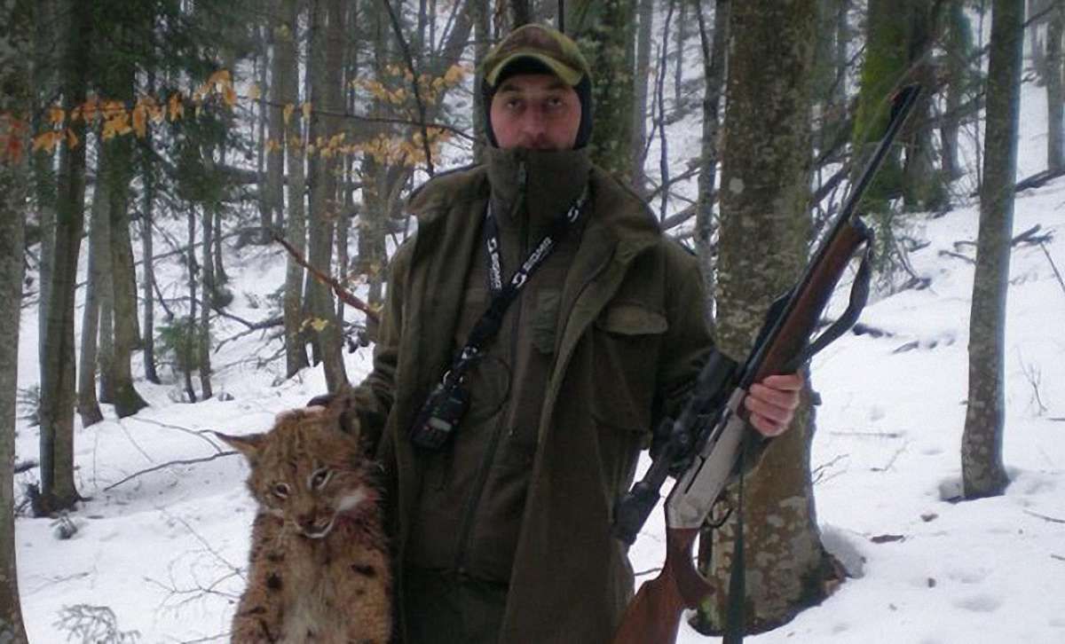 Ославлені лісники із Закарпаття заявили, що знайшли червонокнижну рись уже мертвою 