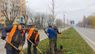 На магістральній вулиці Львова висадили 90 дерев і 110 кущів