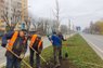 На магістральній вулиці Львова висадили 90 дерев і 110 кущів