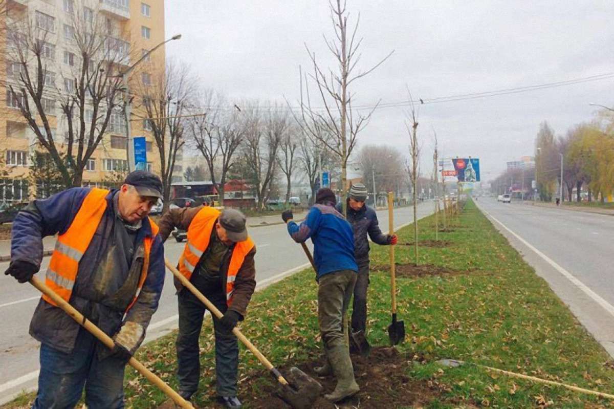 На магістральній вулиці Львова висадили 90 дерев і 110 кущів