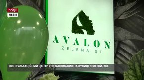 Ще один консультаційний центр компанії Avalon Inc. розташований на вулиці Зеленій, 204