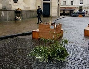 Вночі у центрі Львова затримали хуліганів, які намагалися зламати дерева
