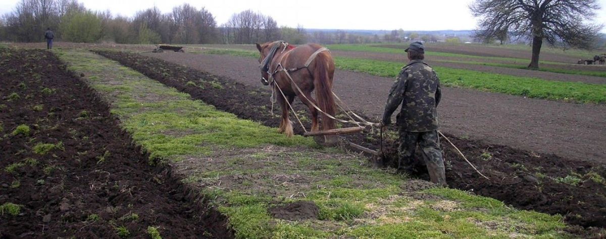 Порошенко заявив про відтермінування запуску ринку землі ще на рік