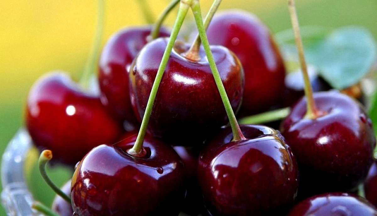 Україна стала другою країною в світі за обсягами виробництва вишні