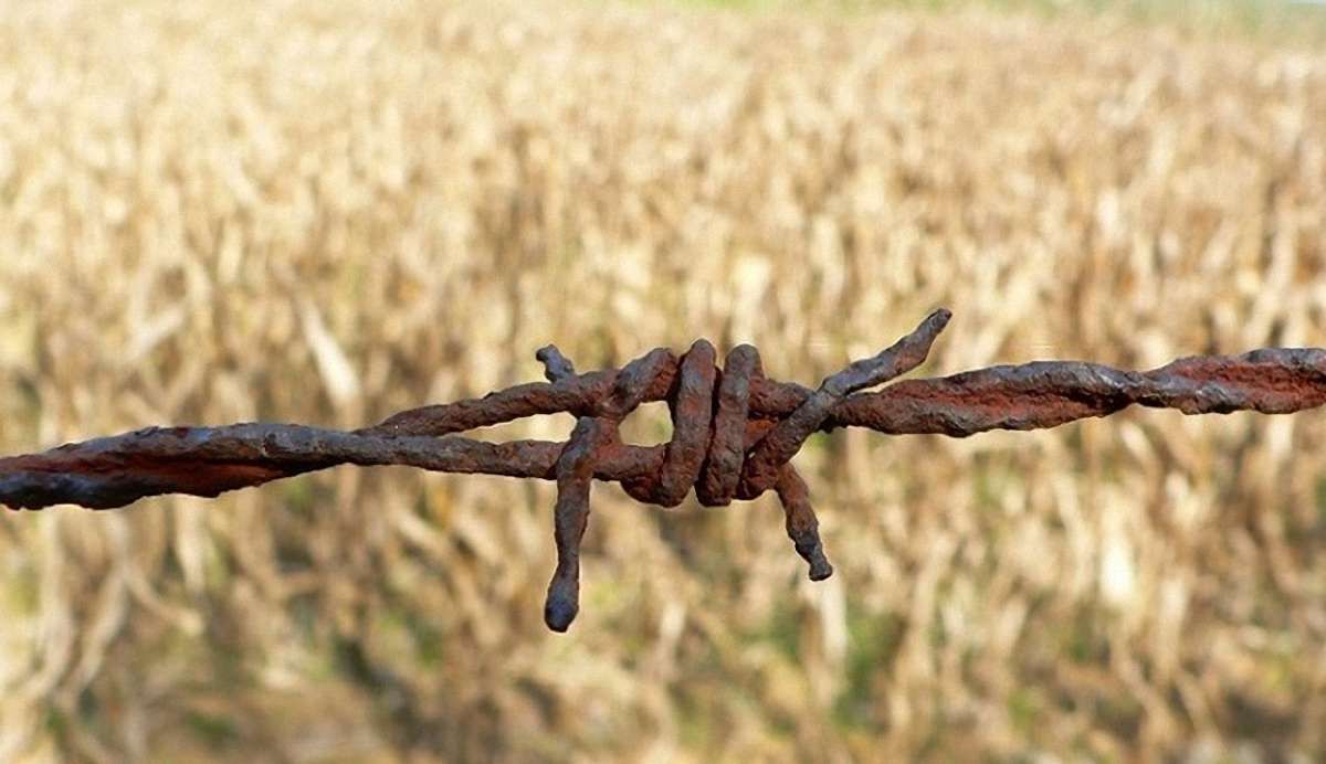 Низка науковців та політиків закликали не продовжувати мораторій на продаж земель
