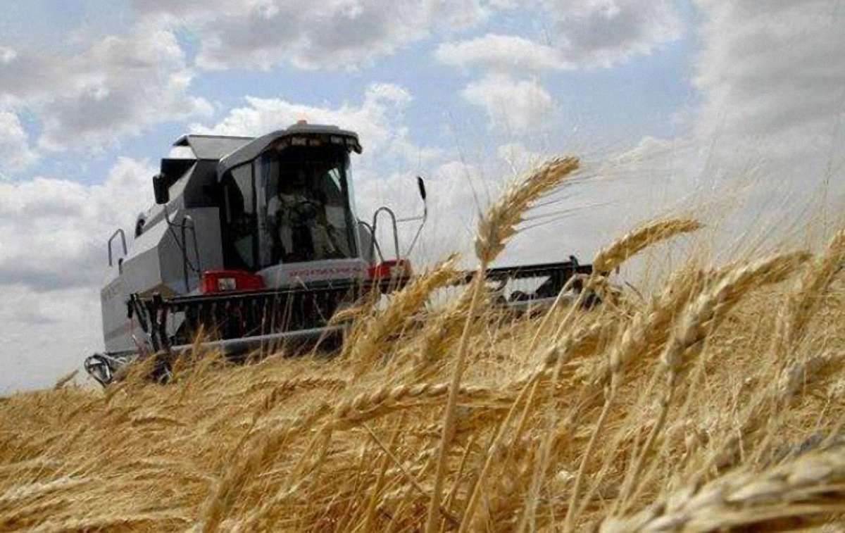 У новому держбюджеті скасували дотації для аграріїв