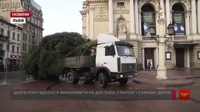 До Львова привезли головну ялинку міста