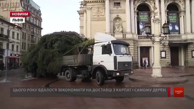 До Львова привезли головну ялинку міста
