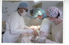 У Львові відновлять пересадку трупних органів