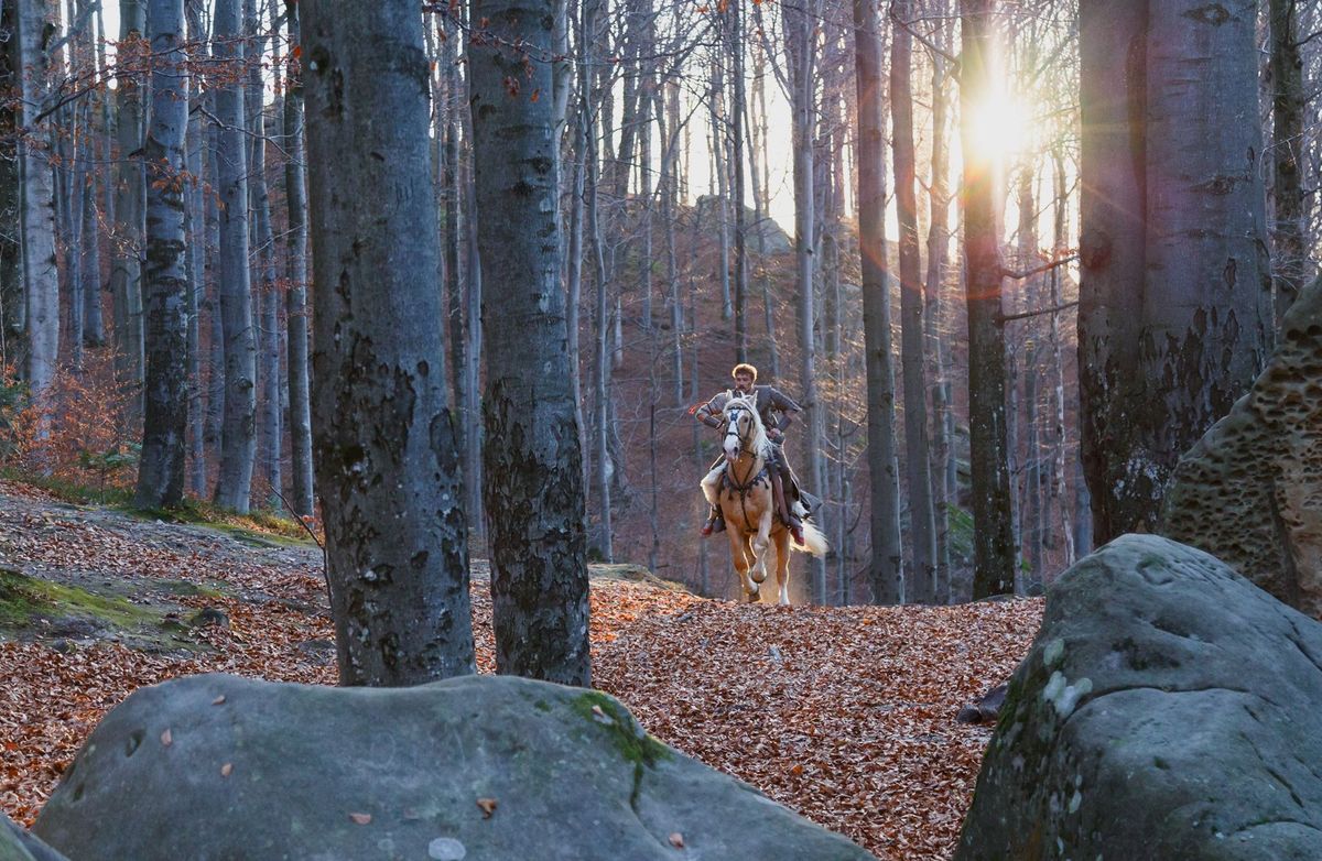 У Карпатах  покажуть українське кіно