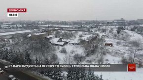 Львівські депутати з другої спроби погодили виділення землі під ІТ-парк