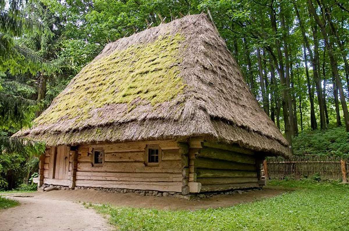 У «Шевченківському гаю» дерево впало на дах хати XIX ст.