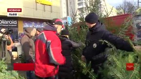 На львівських ринках шукали «сірі» ялинки