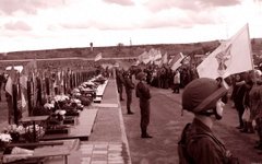 Пролита кров, на яку ми сподівалися