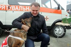 Усмішки Синютки