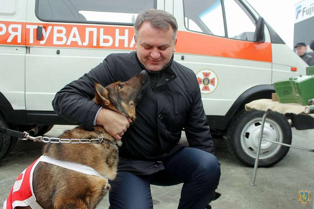 Усмішки Синютки