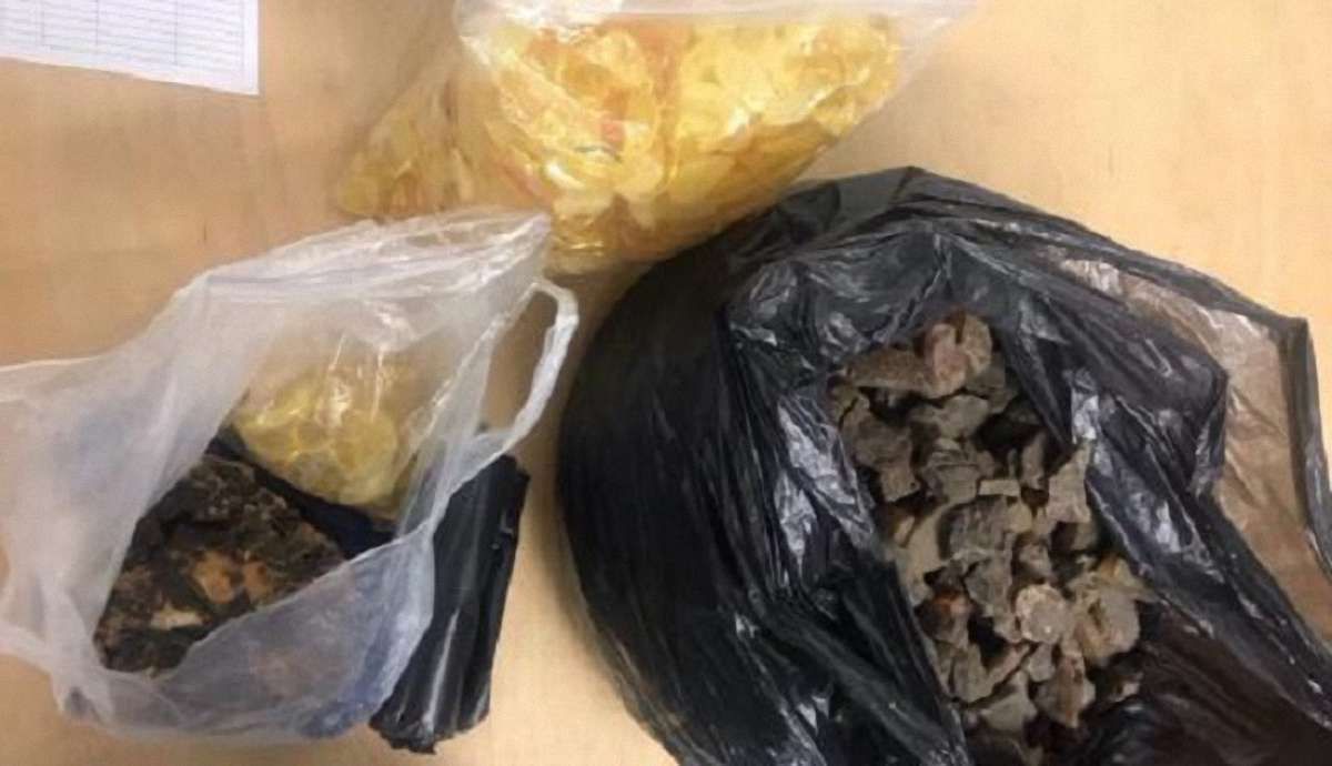 Львівські прикордонники зупинили спробу поляка вивезти з України 13 кг бурштину