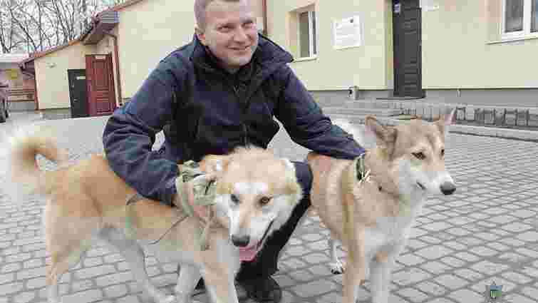 В управлінні патрульної поліції Львова житиме двоє собак