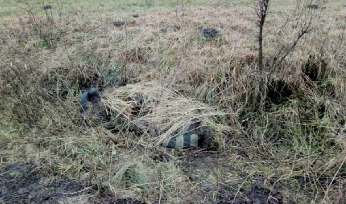 Львівські правоохоронці затримали 20-річного чоловіка за вбивство 71-річного пенсіонера