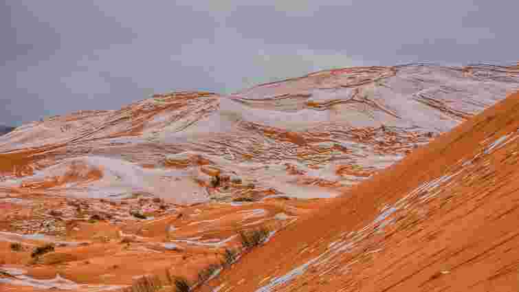 У пустелі Сахара вперше за 40 років випав сніг
