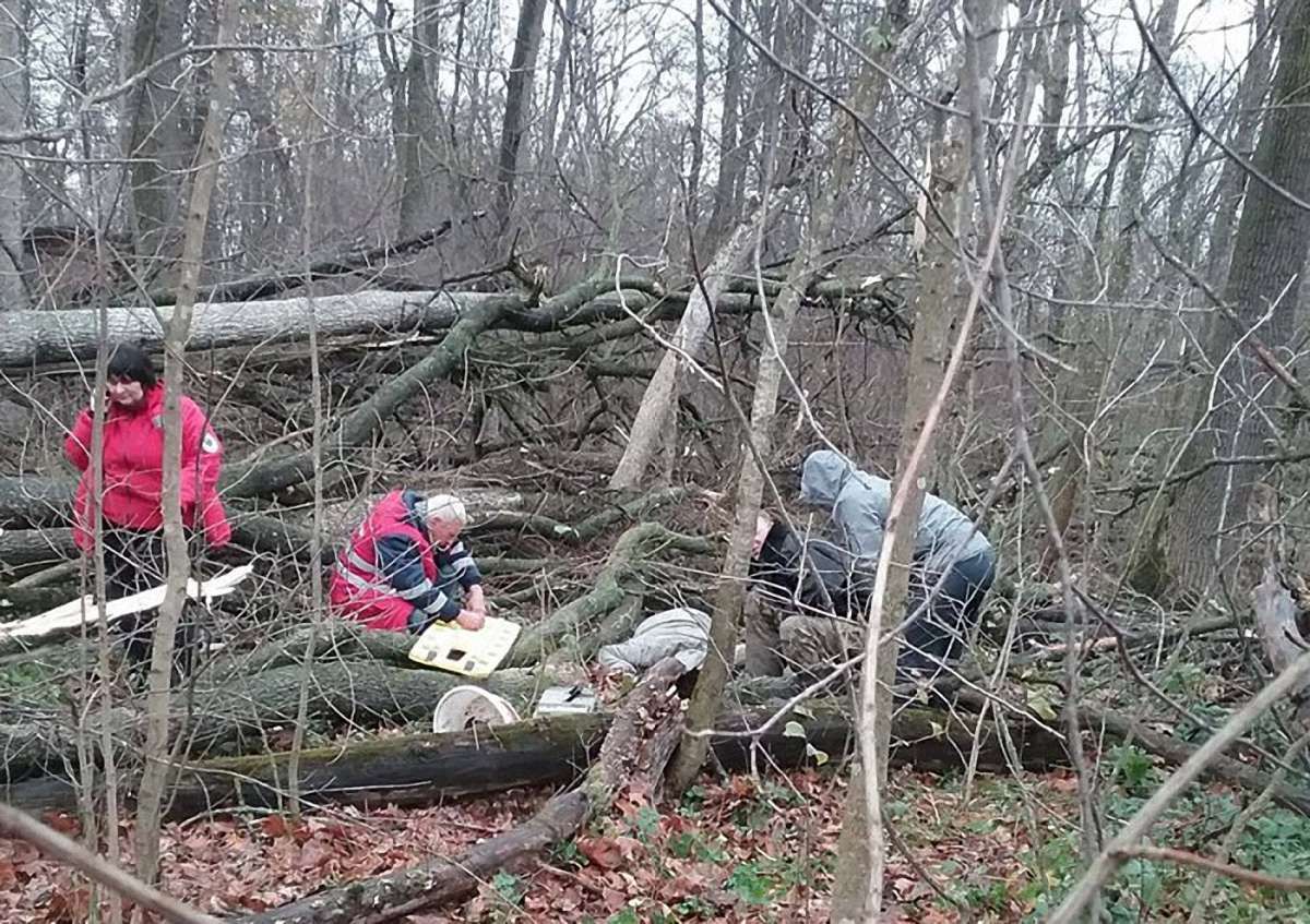 Мешканець Старосамбірщини потрапив до реанімації, травмувавшись під час заготівлі дров