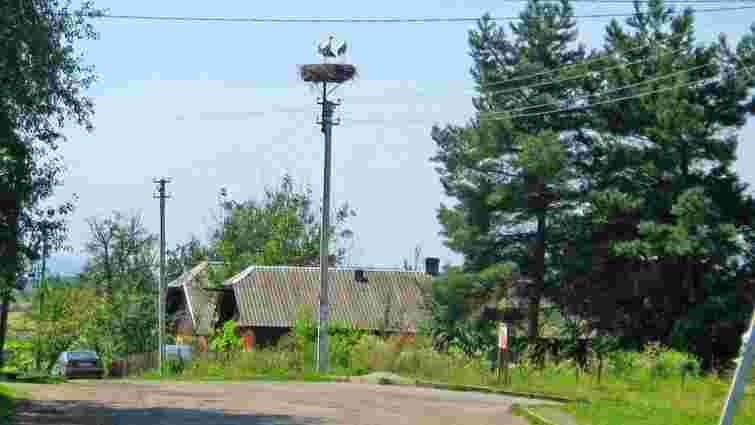 Сільрада в Дрогобицькому районі двічі поспіль незаконно здала в оренду земельні ділянки