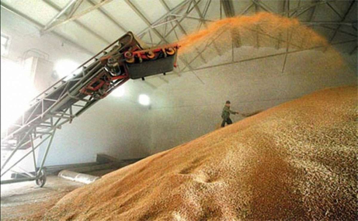 Україна вичерпала квоти на постачання кукурудзи і пшениці до країн ЄС