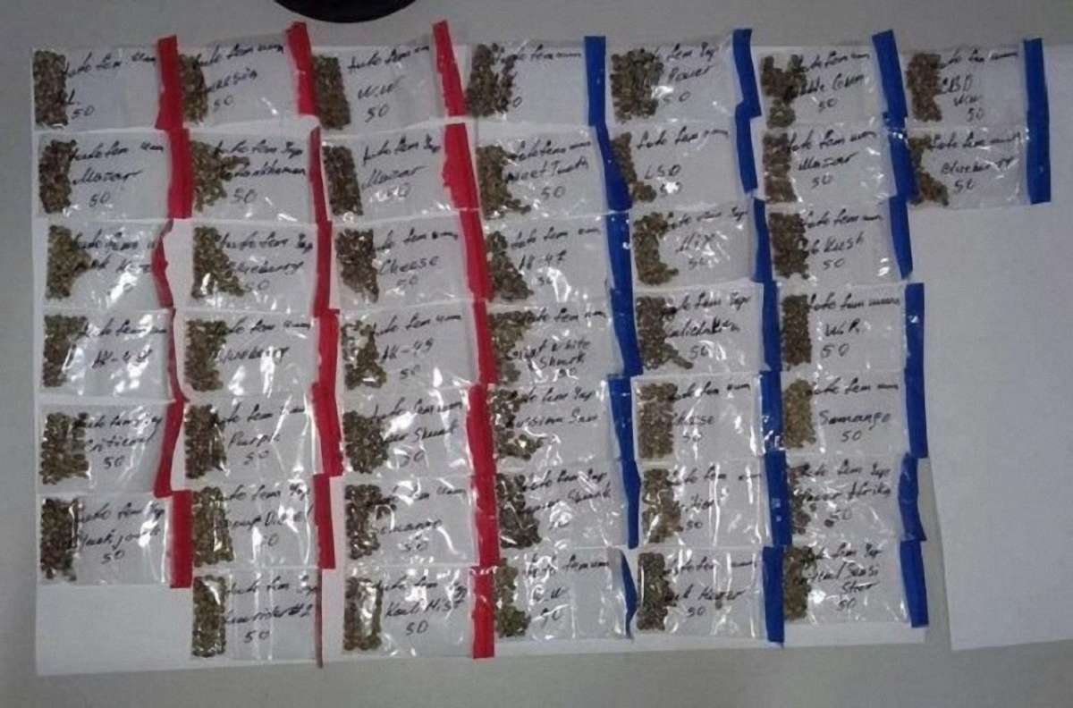 На Харківщині контрабандисти заховали в голові етноляльки 43 пакети з насінням коноплі
