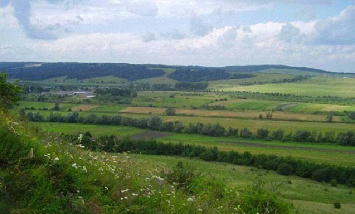 На Львівщині незаконно привласнили землю вартістю ₴5 млн