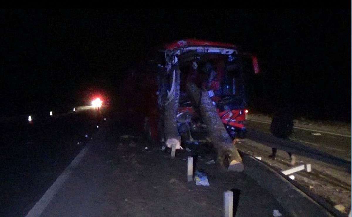 На Житомирщині під час аварії колоди з лісовоза влетіли в салон автобуса 