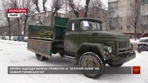Використані ялинки у Львові збиратимуть до кінця тижня