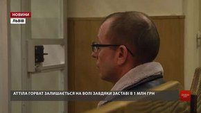 Апеляційний суд Львівщини відмовився арештувати організатора «приватного кордону» на Закарпатті