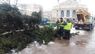 На площі перед Оперним театром демонтували головну новорічну ялинку Львова. Фото дня