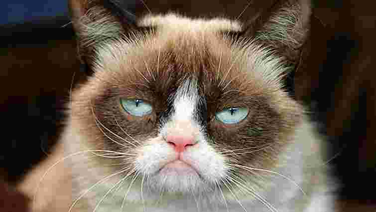 Власниця відомого в інтернеті «Сердитого кота» відсудила $710 тис. за бренд