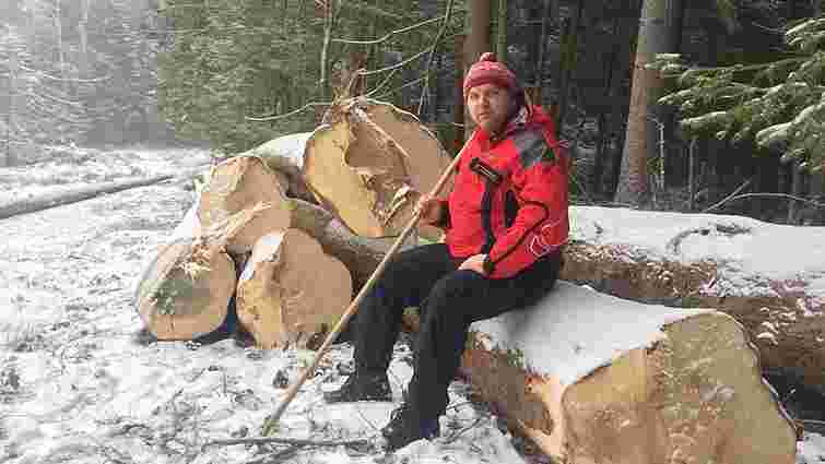 Активісти заявили про незаконну вирубку лісу на Старосамбірщині
