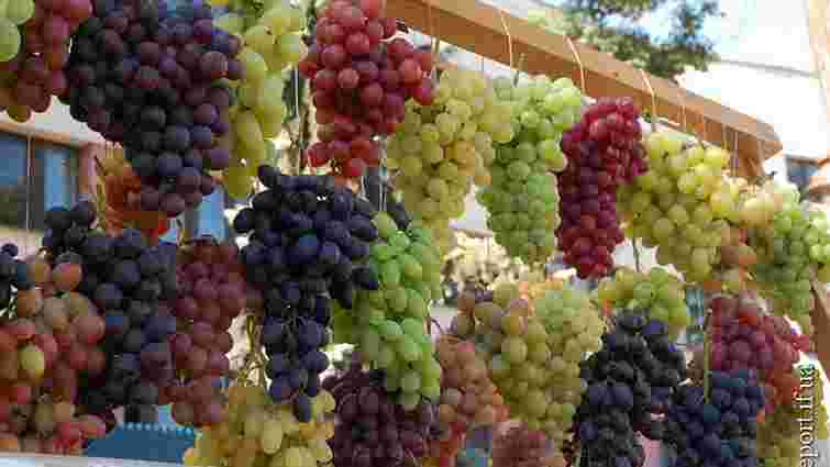 В Україні з’явиться свято виноградарів, виноробів та садівників