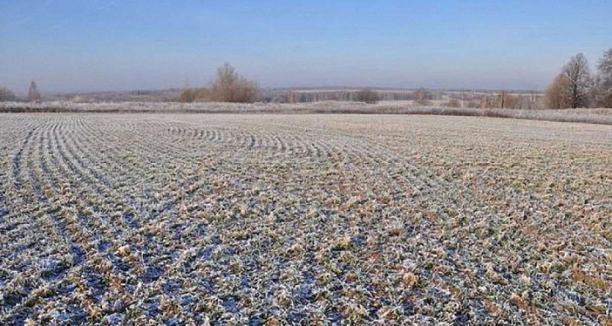 Кабмін схвалив постанову про передачу землі за межами населених пунктів у власність ОТГ
