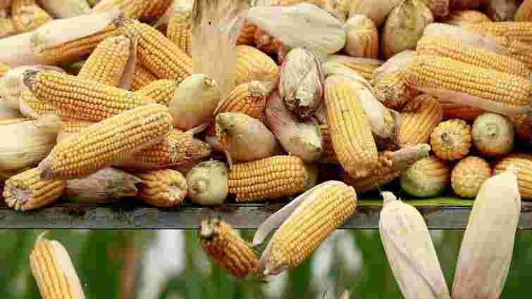 Китайські трейдери вирішили купувати кукурудзу в Україні замість США