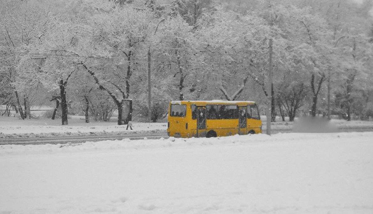 На Львівщині синоптики оголосили штормове попередження через туман та ожеледицю
