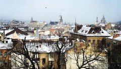 Львів по роботі: найцікавіші події 26 лютого - 2 березня