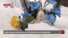 10-річна дівчинка, яка потрапила під колеса машини, гуляла на забороненій території