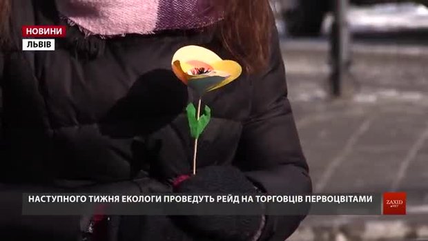 Львівські екологи наступного тижня шукатимуть торговців первоцвітами