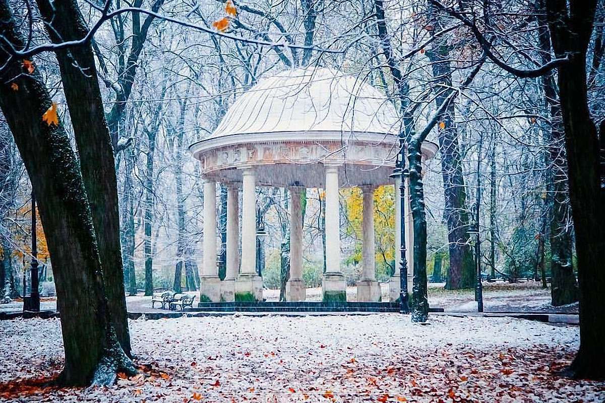 На закупівлю саджанців для парків у Львові витратять ₴930 тис.