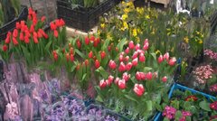 Вікенд у Львові: Zapaska, креативні міста та скрипаль-математик