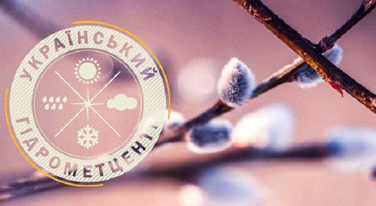 На сайті Укргідрометцентру майнили криптовалюту